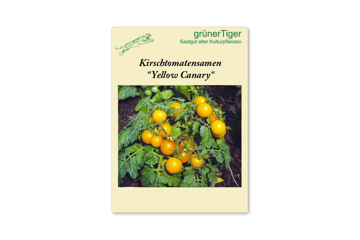 Samen für Gelbe Busch- und Topftomate Yellow Canary
