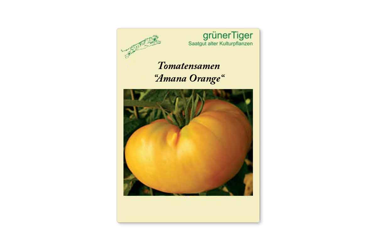 Samen für Gelbe Stabtomate Amana Orange 