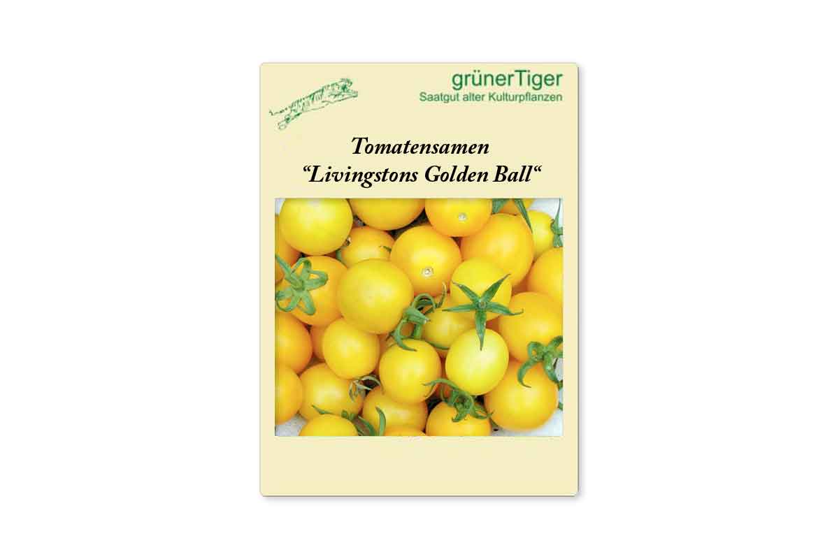 Samen für Gelbe Stabtomate Livingstons Golden Ball 