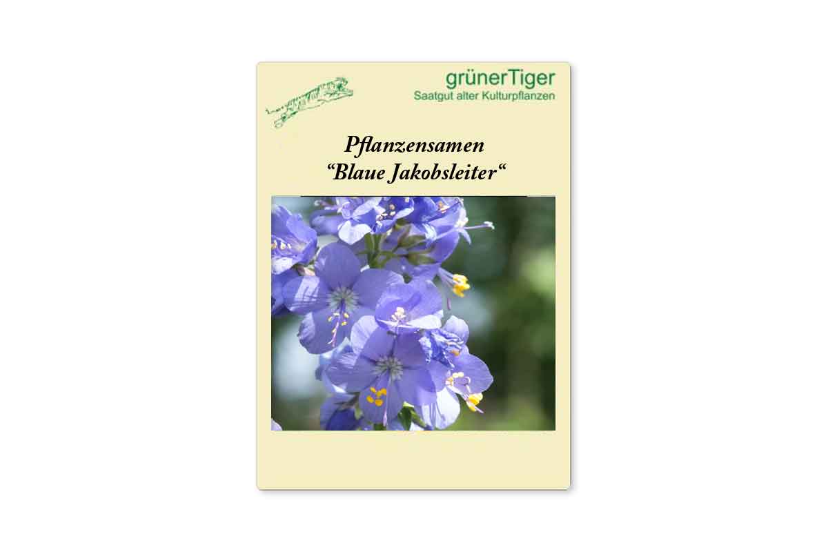 Samen für Jakobsleiter, blau (Wildform)
