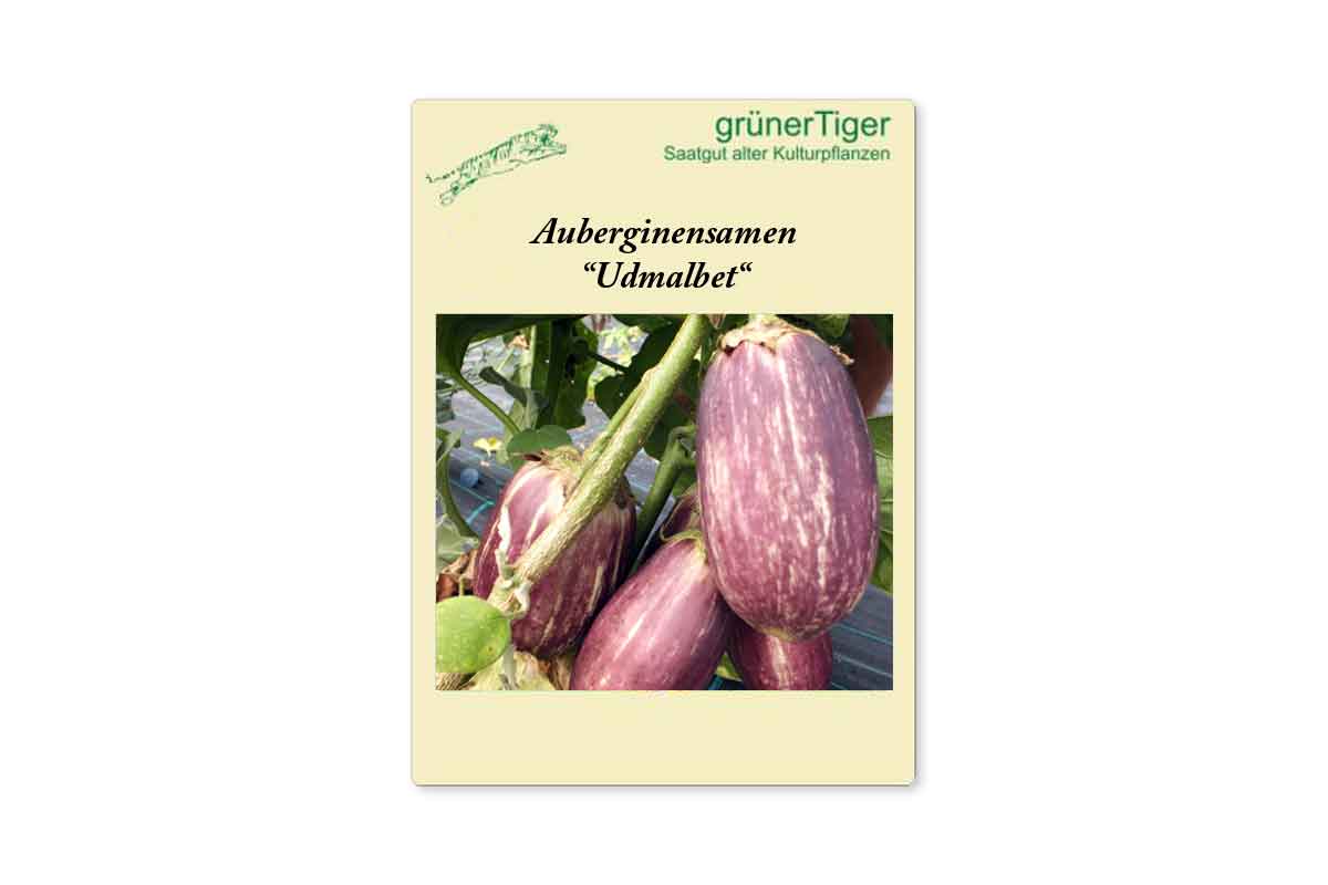Samen für Udmalbet, Aubergine