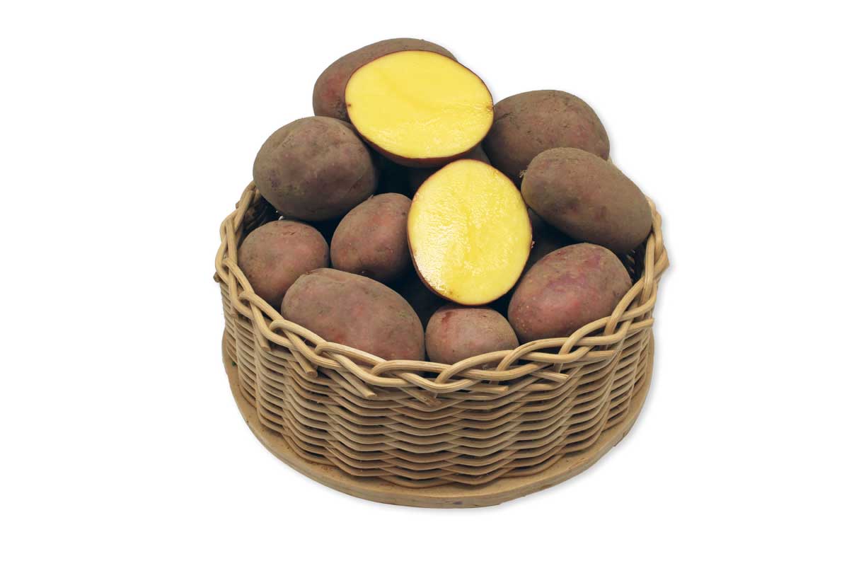 Laura Kartoffeln